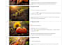write engaging social media captions and posts